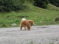 20040830_ 014